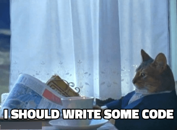 the i-should-buy-a-boat cat, in a robe with a newspaper: i should write some code